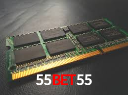 Premium Interface 55bet55